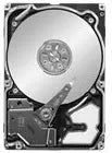 Seagate ST9300503SS 300GB SAS 10K RPM Hard Drive