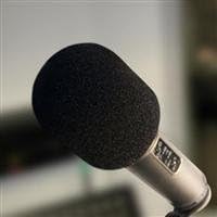 Rode WS2 Microphone Wind Shield Pop Filter