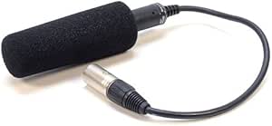 Panasonic 080591 Directional Microphone for Camcorders
