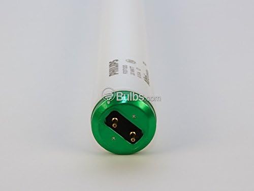 Philips 20W T12 24in Daylight White Fluorescent Tube