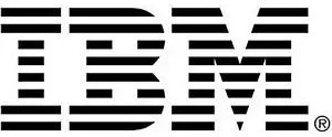 Lenovo 49Y4274 Emulex FCoE/iSCSI License — main product image