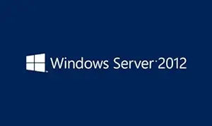 Lenovo 0C19602 Windows Server 2012 CAL - 1 User — main product image