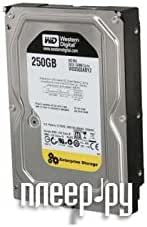 Western Digital WD2503ABYZ RE 250GB SATA Hard Drive