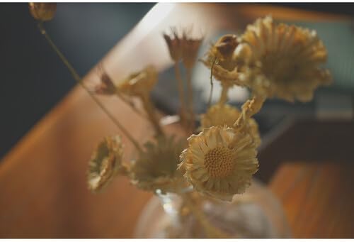 Sony ILCE-7CM2L/B a7C II 28-60mm Lens Bundle