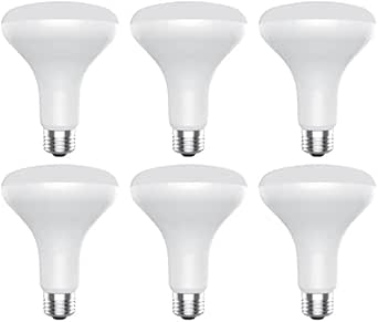 GE 93131013 Classic BR30 Dimmable LED Bulb 6-Pack