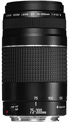 Canon 6473A003 EF 75-300mm Telephoto Zoom Lens