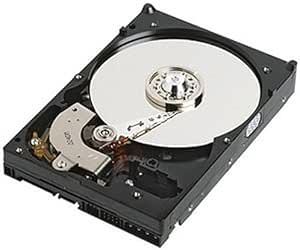 Dell C9368 40GB 3.5" SATA Hard Drive Renewed
