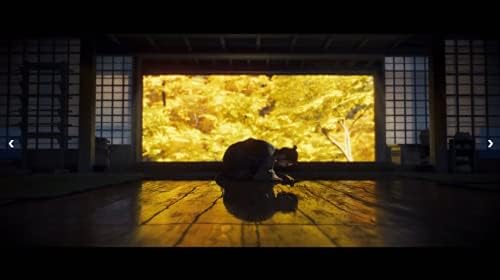 Sony N/0711719714392 Ghost Of Tsushima Director's Cut PS5