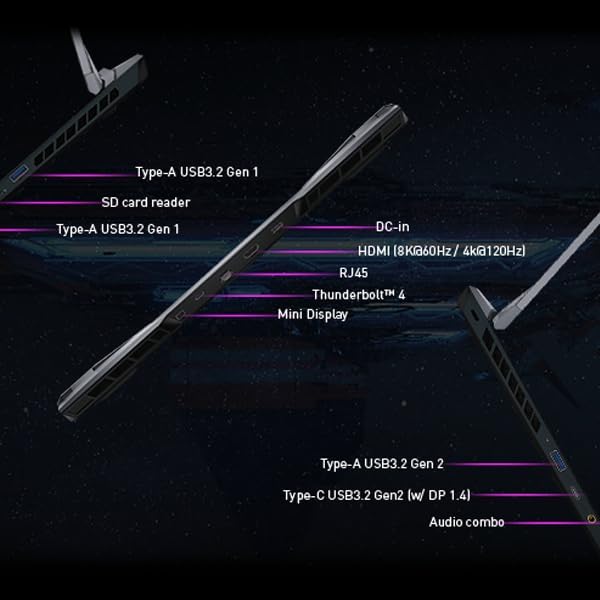 MSI OLED42C2PUA Raider GE76 RTX 3060 Gaming Laptop