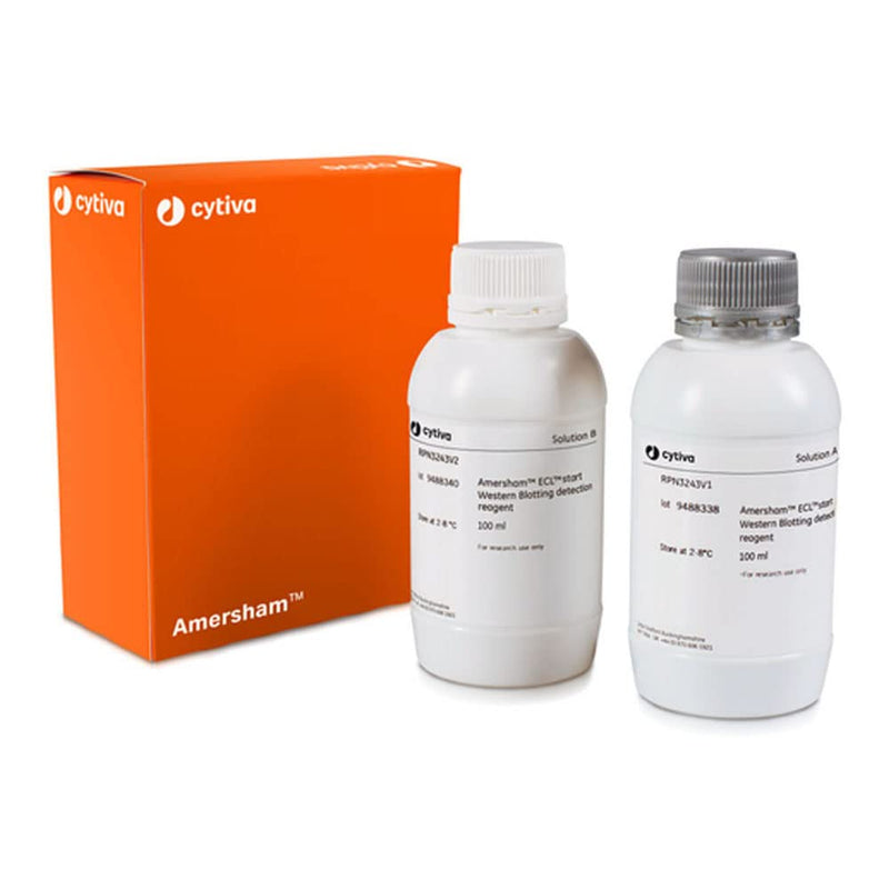 GE RPN3243 Cytiva ECL Start Western Blotting Reagent — main product image