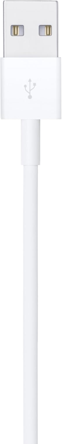 Apple Lightning to USB Cable 2m