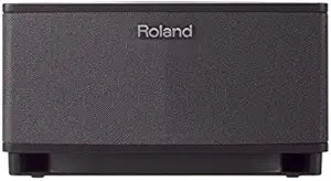 Roland CUBE-LT-BK Lite Tabletop Monitor Amplifier - Black