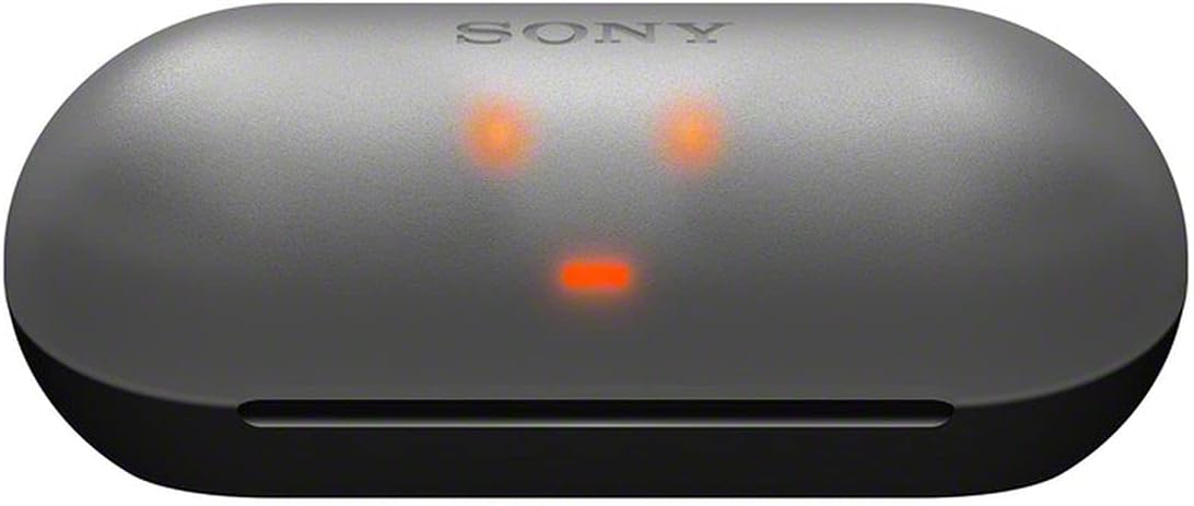 Sony WF-C500 BZ Truly Wireless Earbuds Black