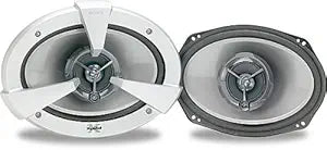 Sony XSS690CX 6x9 Inch Full Range HOP Woofer