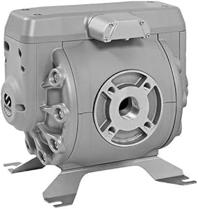 Samson Directflo 250 Diaphragm Pump, 66 GPM