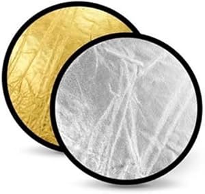 Polaroid PLSEGSREF42 42-inch Collapsible Reflector Disc Gold/Silver