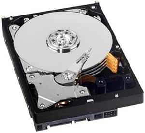 Western Digital WD1003FBYX 1TB Enterprise HDD (Renewed)