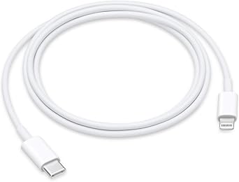 Apple Lightning to USB-C Cable - 1 Meter
