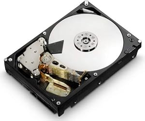 Hitachi HDS5C3030ALA630 3TB Internal Hard Drive