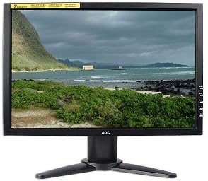 AOC 19-Inch TFT LCD Widescreen Monitor with Speakers