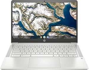 HP 14a-na1020ca Chromebook 14