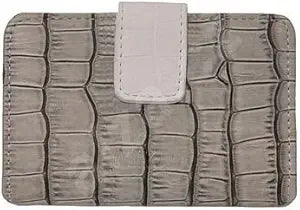 Nikon CS-S42 (Silver) Case for COOLPIX S6200