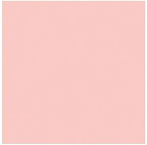 Rosco 4331906825 Roscolux Rose Tint Lighting Filter