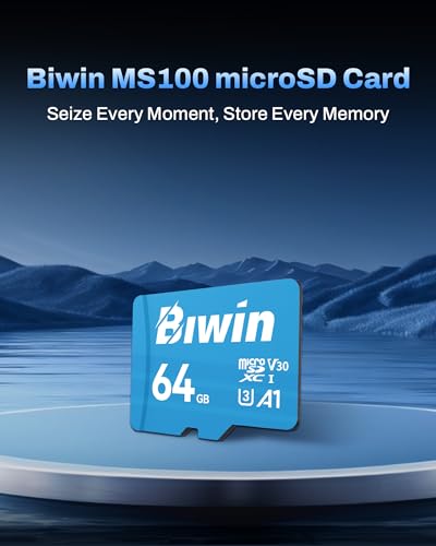 BIWIN MS100 V30 UHS-I microSDXC Memory Card — main product image