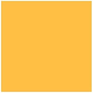 Rosco Ros-1195 Light Straw Color Effects Lighting Filter — main product image