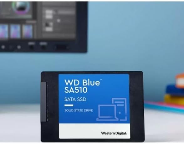 Western Digital WDS500G3B0A 500GB WD Blue SA510 SSD