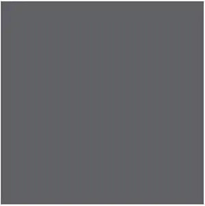 Rosco 4332082365 Roscolux #211 0.9 Neutral Density Gel