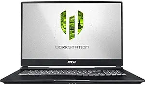 MSI WE75 8TJ-010 17.3" Mobile Workstation i7 Quadro