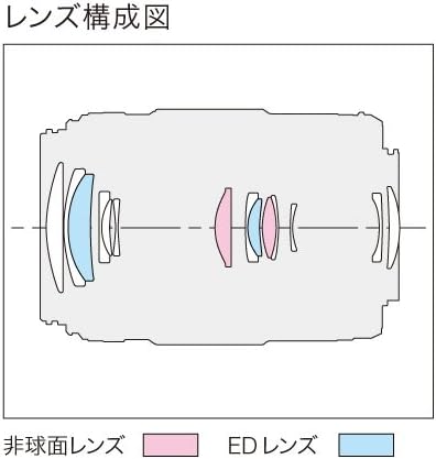 Panasonic H-PS45175-S Lumix G X Vario 45-175mm Telephoto Zoom Lens