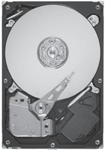 Seagate ST9300605SS 300GB SAS 10K HDD (Renewed)