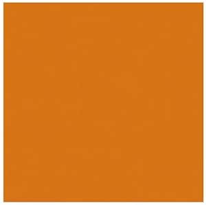 Rosco R3420S Cinegel Double CTO Color Correction Filter