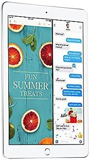 Apple MP2G2LL/A iPad 32GB WiFi Silver (2017)