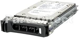 HP EG0300FBDBR-SC 300GB SAS 10K 2.5" HDD 2-Pack (Renewed)
