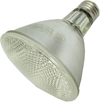 GE 043168965309 39-Watt Metal Halide Light Bulb