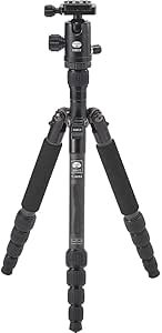 Sirui T-025X Carbon Fiber Tripod w/ C-10 Ballhead