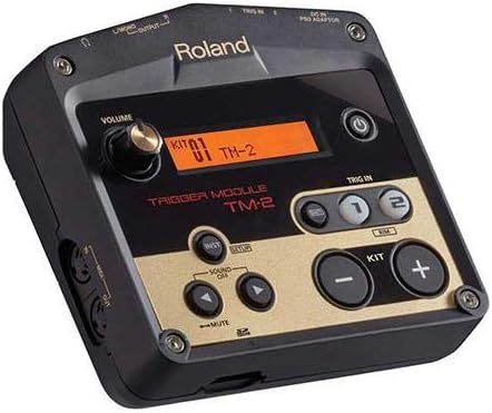 Roland TM-2 Acoustic Drum Trigger Module Hybrid Percussion — main product image