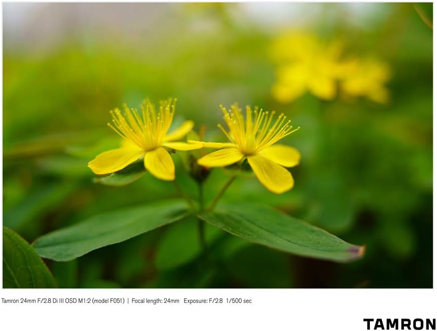 Tamron E11TM24F28S 24mm f/2.8 Sony E-Mount Lens Bundle