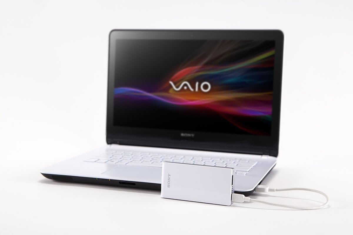 Sony WGC10/N Portable Wireless Server for Smartphones