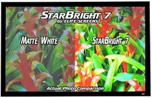 Elite Screens R121GH-G7 Starbright 7: Fixed Frame Projection Screen