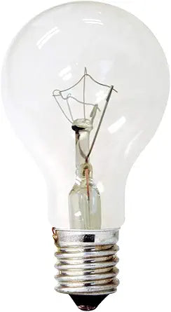 GE 74037 40W Decorative A15 Incandescent Light Bulb 2-Pack