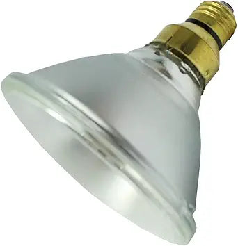 GE 043168181730 120-Watt Halogen Flood Light Bulb