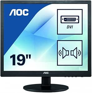 AOC E960SRDA 22" TFT LED Backlit Monitor