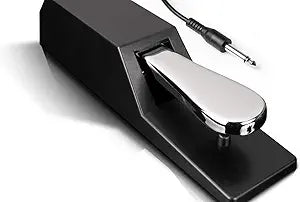Alesis ASP2 Sustain Pedal: Universal Keyboard Accessory — main product image