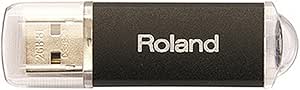 Roland M-UF2G 2GB USB Flash Memory Key