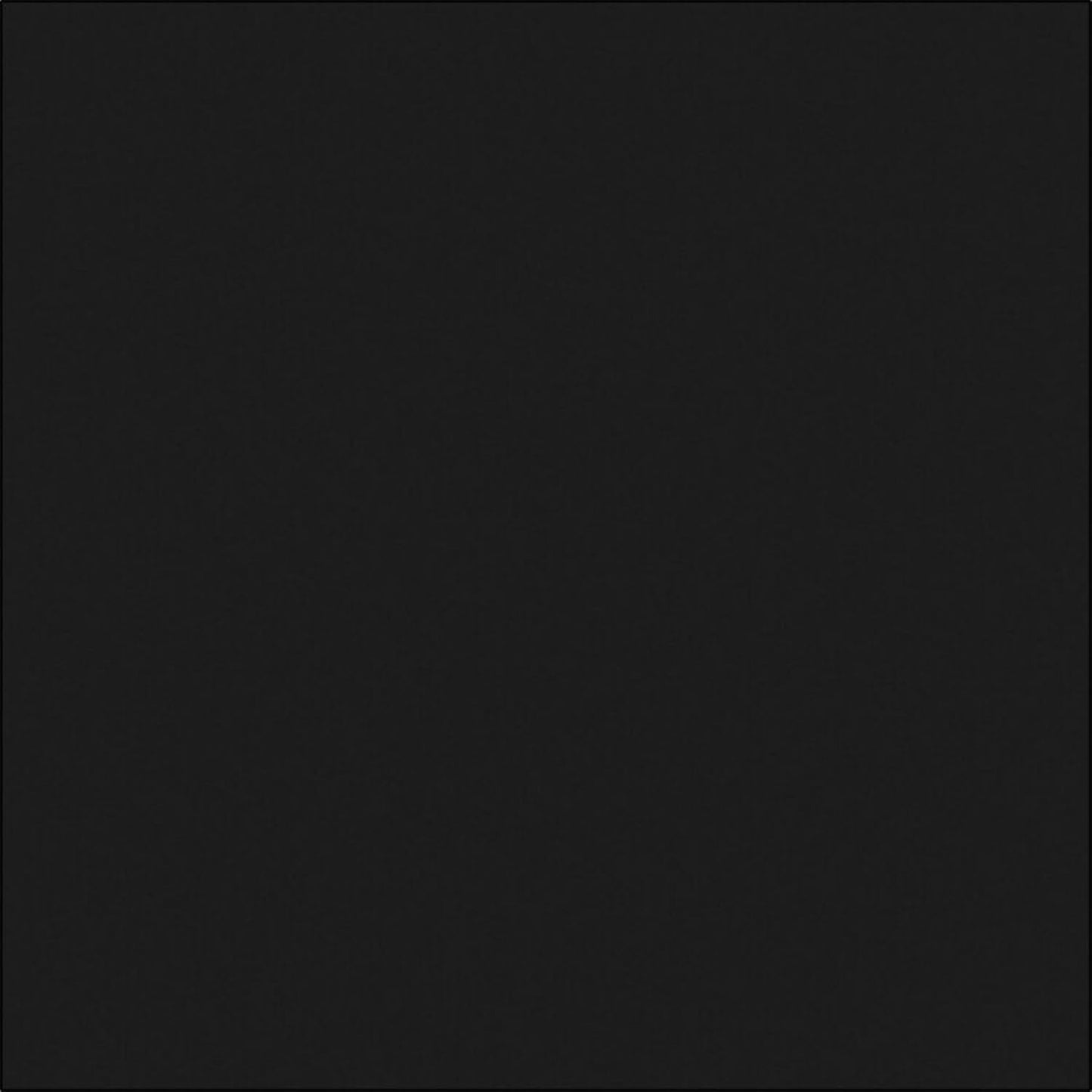 Epson T048120-S Black Ink Cartridge Standard Capacity