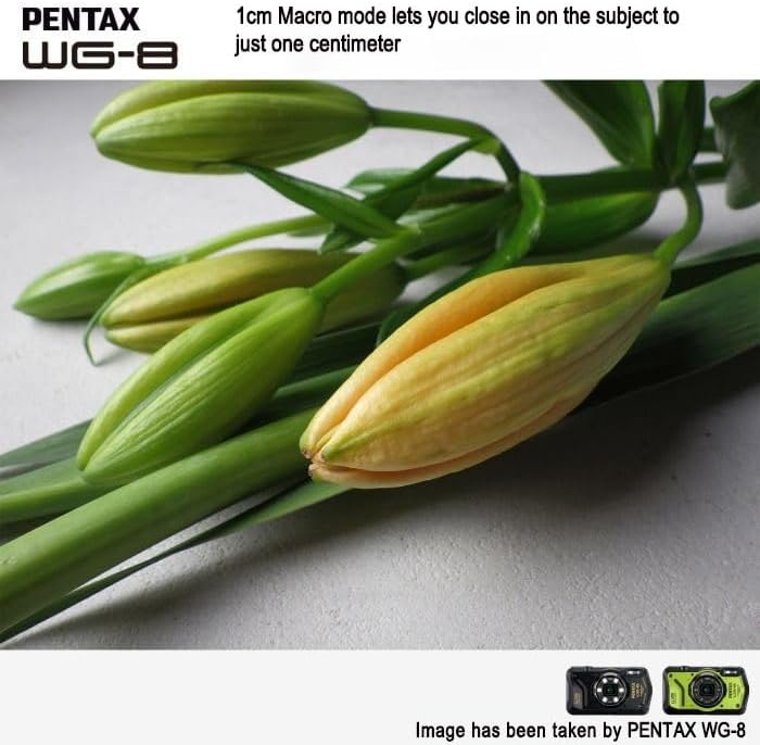 Pentax 01502 WG-8 Green Waterproof Adventure Camera